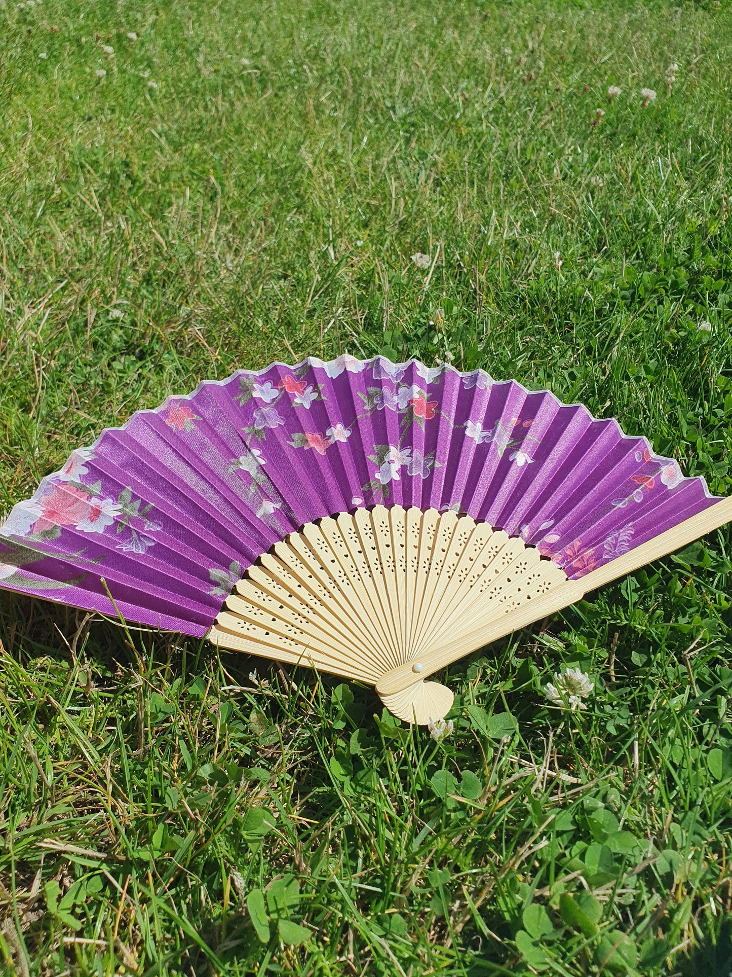 Fan Purple