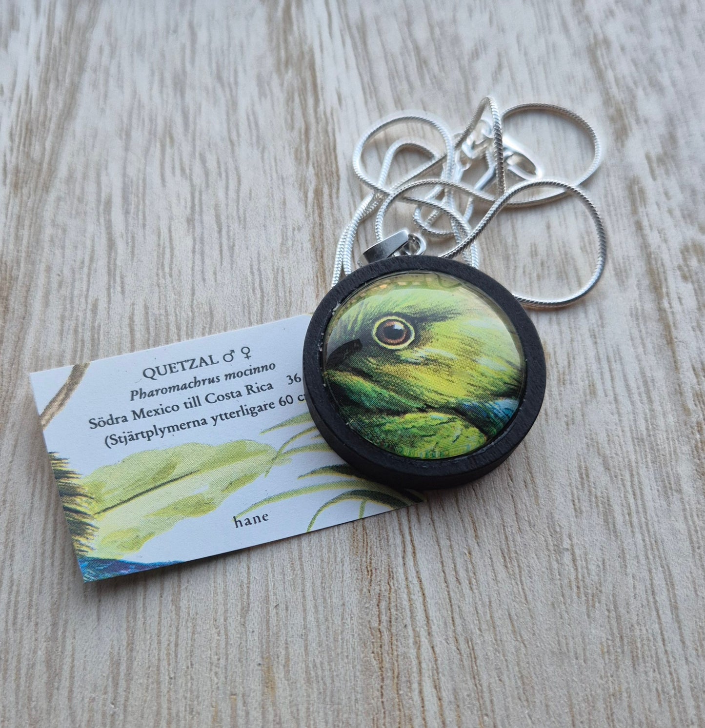 Världensfåglar Halsband